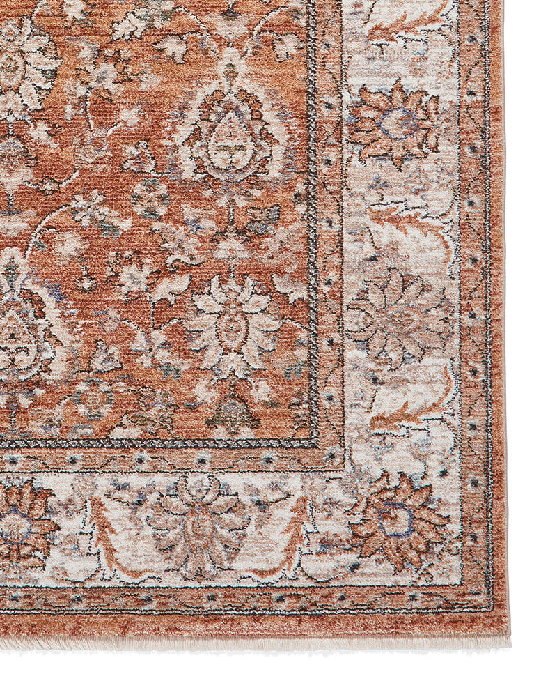 VINTAGE 35027 TERRACOTTA TRADITIONAL DISTRESSED STYLE MEDALLION BORDER RUG