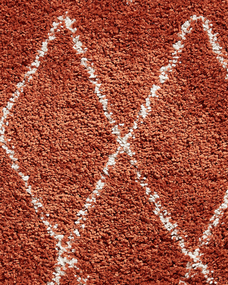 BOHO 8280 RUST TERRACOTTA MOROCCAN BERBER SHAGGY MODERN